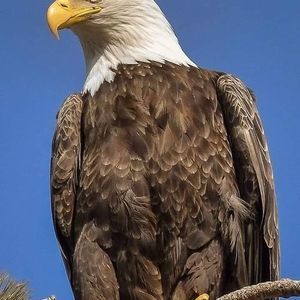 Meet your Posher, Alejandro